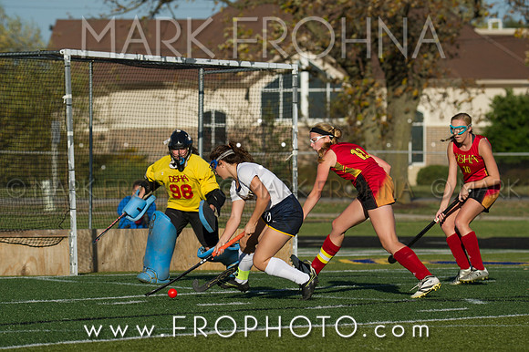 DSHA State Field Hockey 2017-8