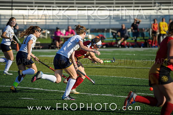 DSHA State Field Hockey 2017-4