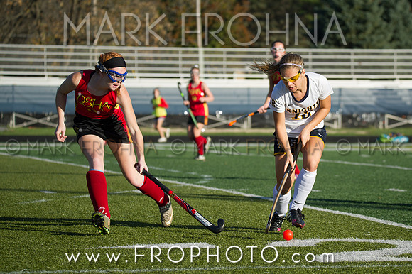 DSHA State Field Hockey 2017-5