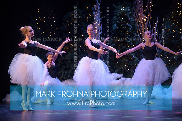 BCA Nov16 PPC Flowers-143