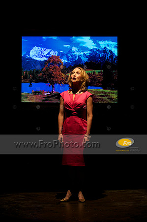 Skylight Ingenue 117