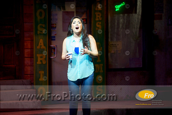 Skylight In the Heights Preview 042