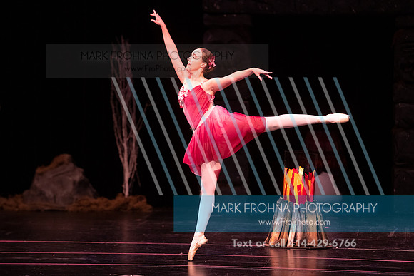 BRIO La Bayadere-89