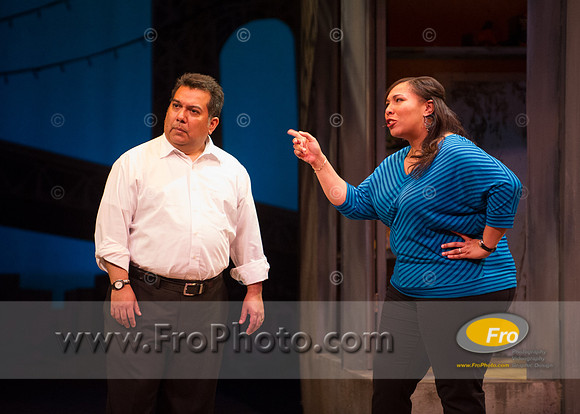 Skylight In the Heights Preview-118