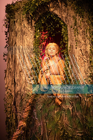 UWM Into the Woods Unedited-144
