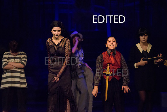 11 BCA Addams Family-3-2