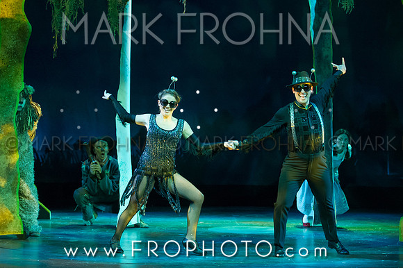 Skylight Wizard of Oz Selects-54