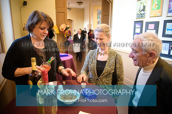 In Tandem Lift Your Spirits Gala 2018-24