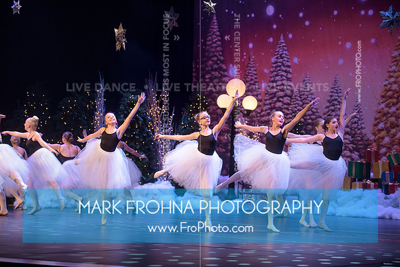 BCA Nov16 PPC Flowers-137