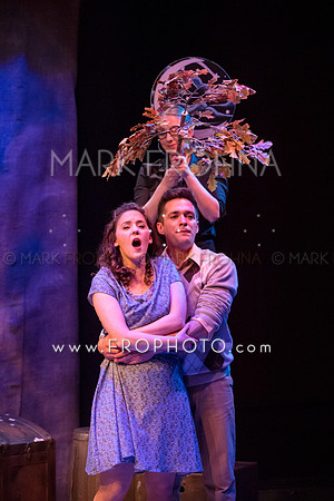 In Tandem Fantasticks Highlights-23