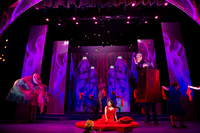 Skylight Candide Highlights-20