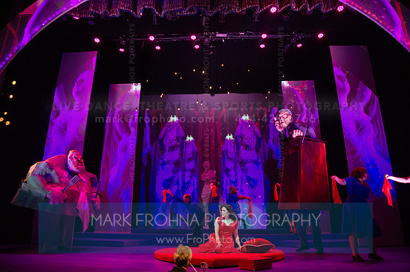 Skylight Candide Highlights-20