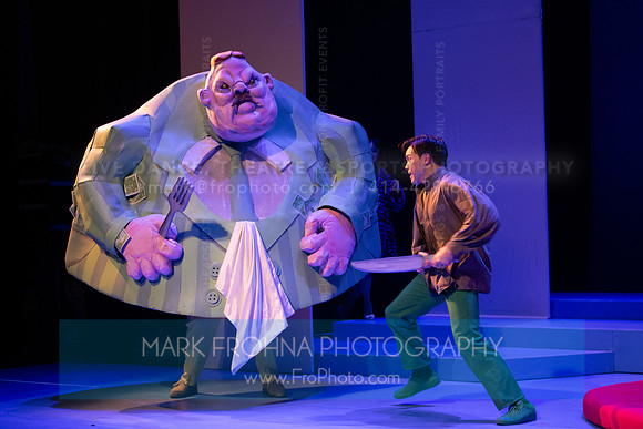 Skylight Candide Highlights-51