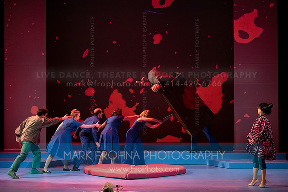 Skylight Candide Highlights-53