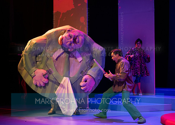 Skylight Candide Highlights-52
