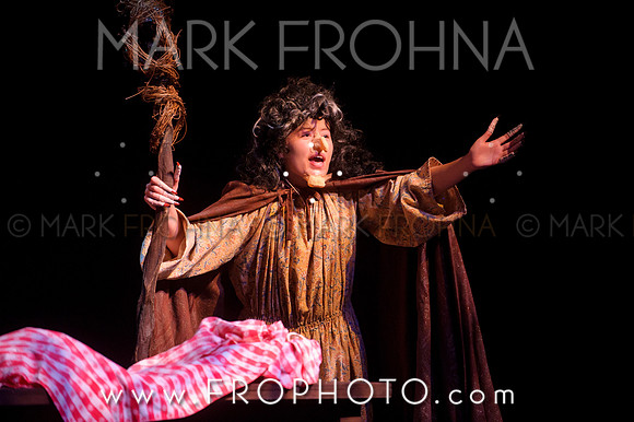 VAHS Into the Woods Highlights-18