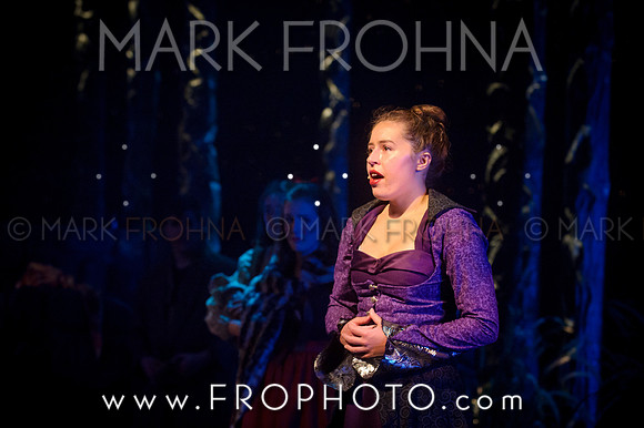 VAHS Into the Woods Highlights-69
