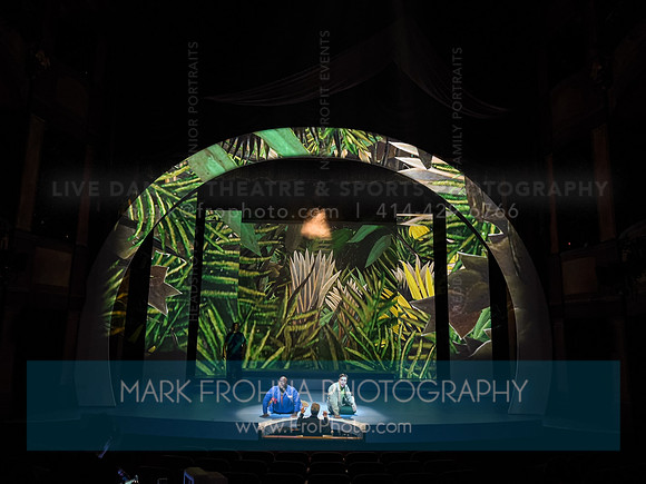Skylight Candide Highlights-104