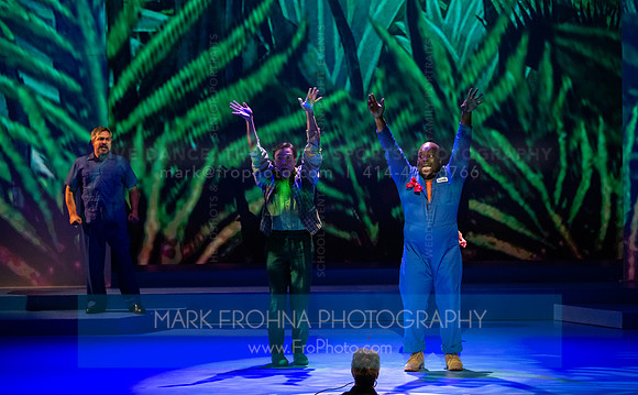 Skylight Candide Highlights-102