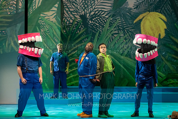 Skylight Candide Highlights-101