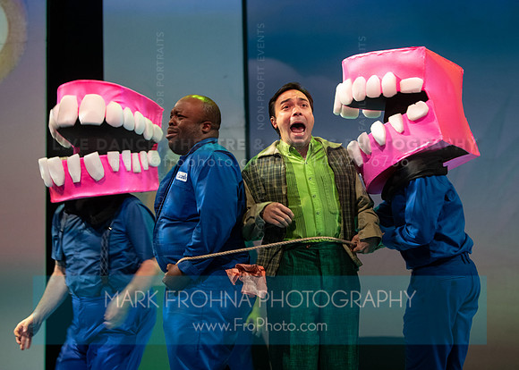 Skylight Candide Highlights-100