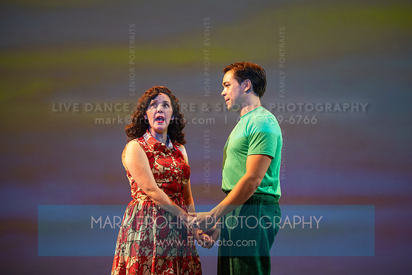 Skylight Candide Highlights-175