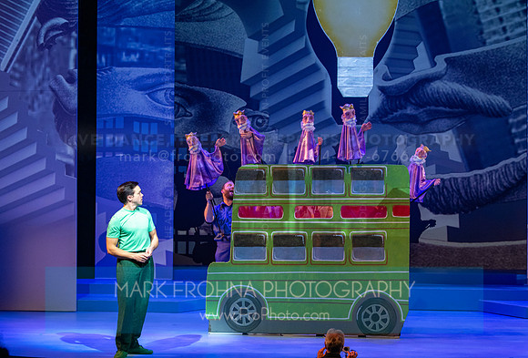 Skylight Candide Highlights-162
