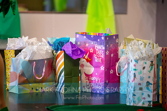 BRIO Birthday Party 2023-80