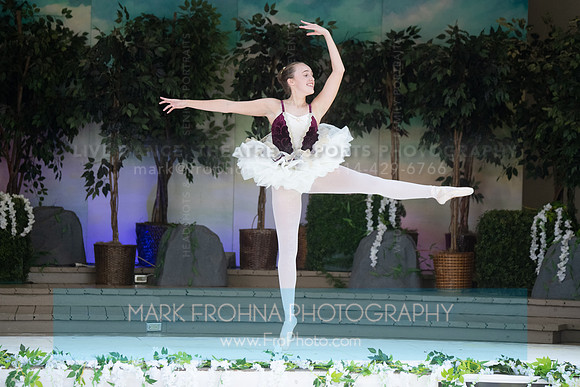 BCA Swan Lake-173