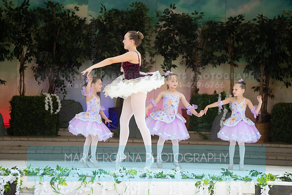 BCA Swan Lake-167