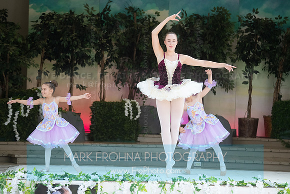 BCA Swan Lake-164
