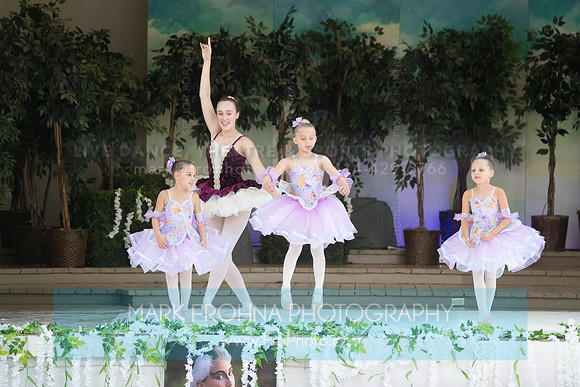 BCA Swan Lake-158