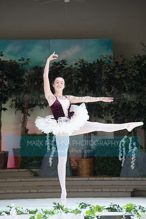 BCA Swan Lake-143