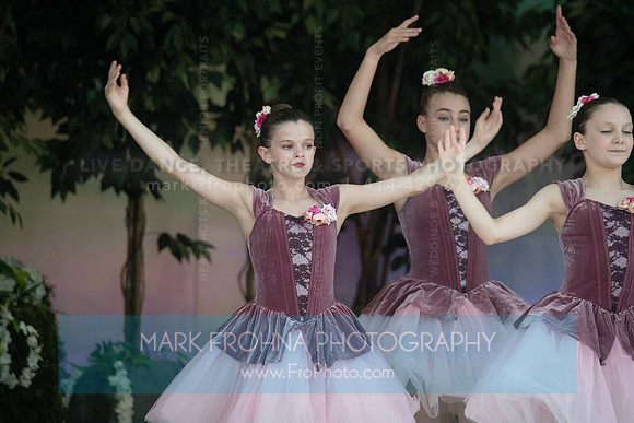 BCA Swan Lake-135