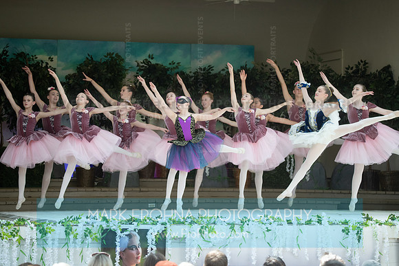 BCA Swan Lake-126