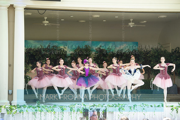 BCA Swan Lake-129