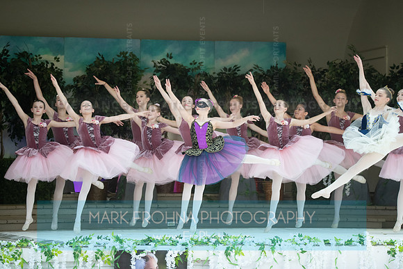 BCA Swan Lake-125