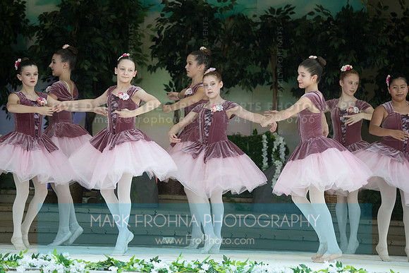 BCA Swan Lake-123