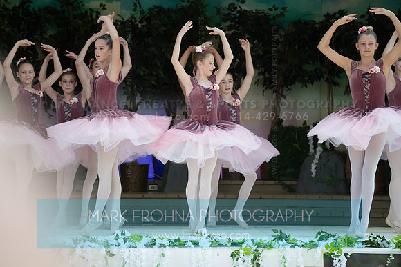 BCA Swan Lake-120
