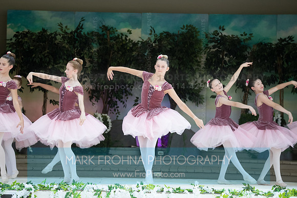 BCA Swan Lake-119