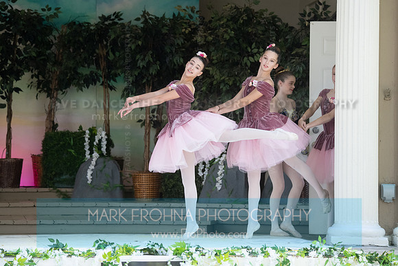 BCA Swan Lake-116