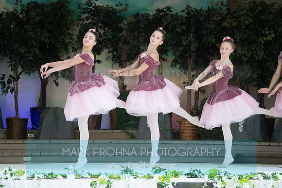 BCA Swan Lake-117