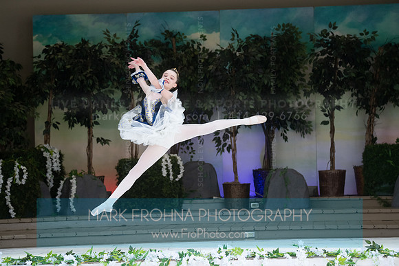 BCA Swan Lake-114