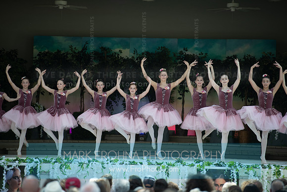 BCA Swan Lake-111
