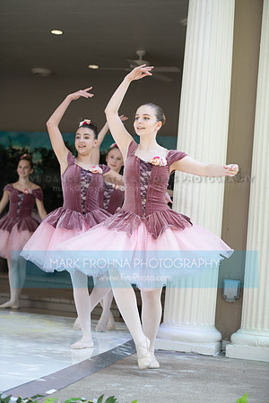 BCA Swan Lake-104