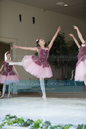 BCA Swan Lake-097
