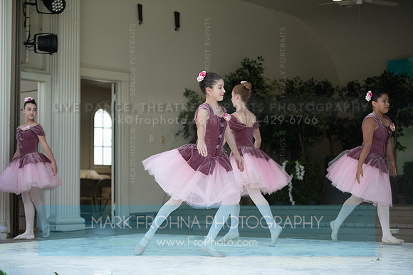 BCA Swan Lake-095