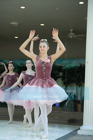 BCA Swan Lake-086