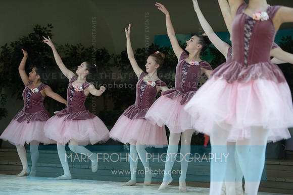 BCA Swan Lake-085