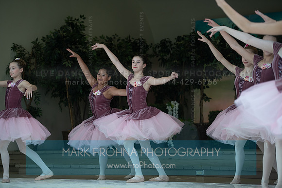 BCA Swan Lake-084